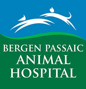 Bergen Passaic Animal Hospital
